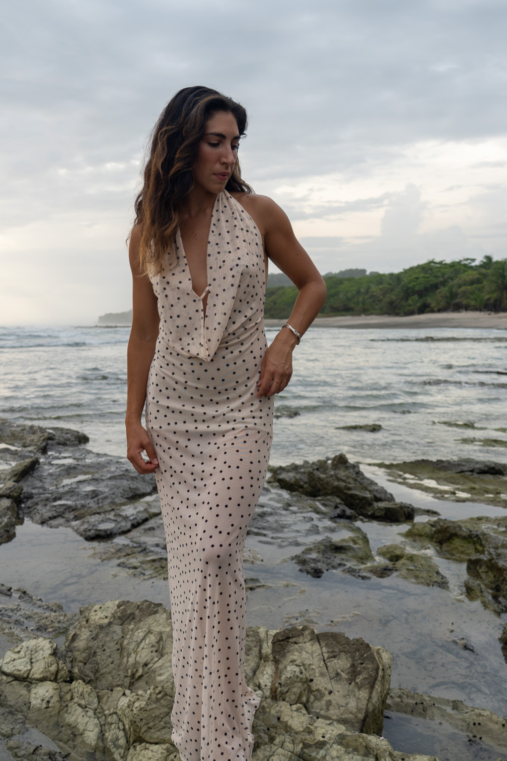 Ivory Polka Dot Mesh Dress Feras