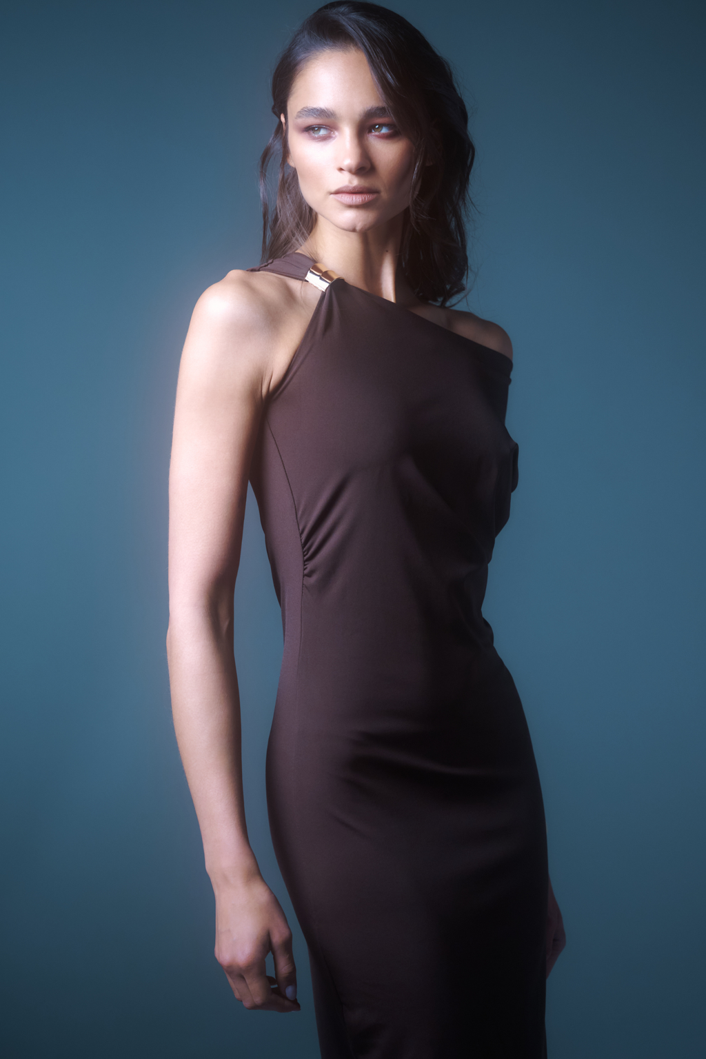 Brown Anneu Dress Feras