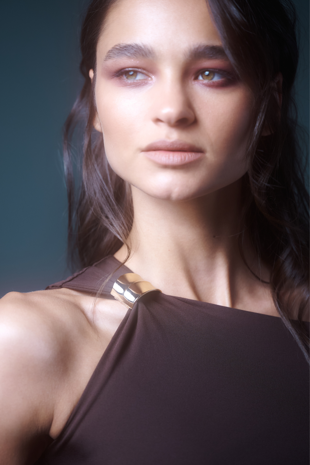 Brown Anneu Dress Feras